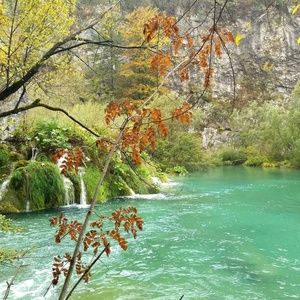 Meet your Posher, Luke